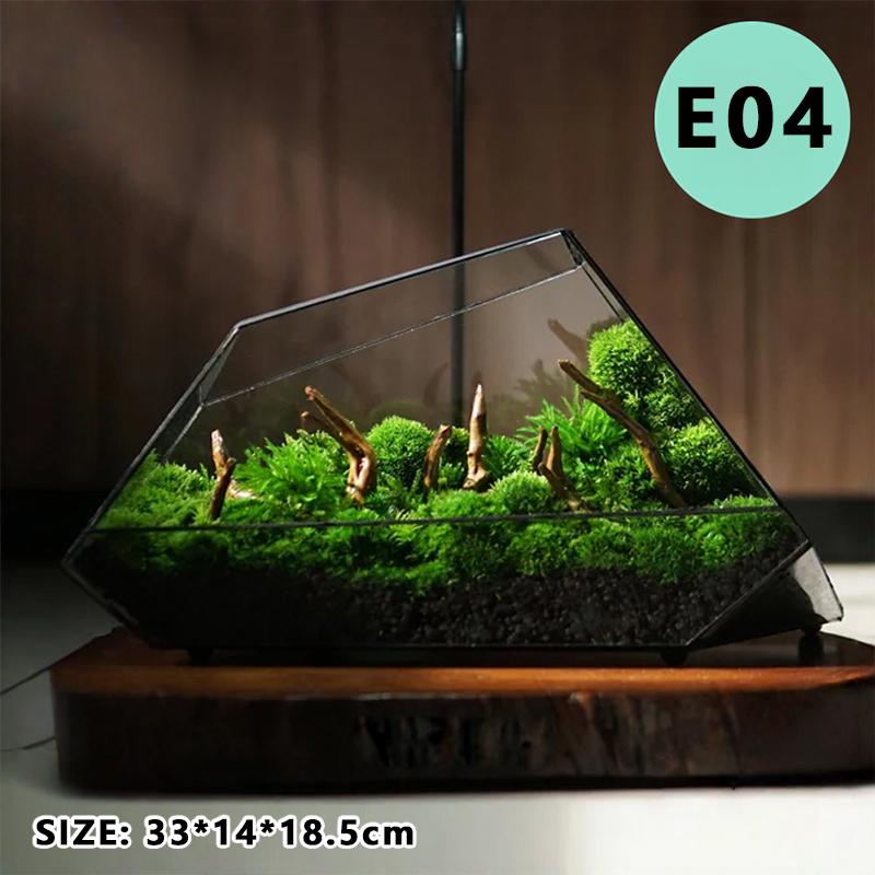 Micro Landscape Plant Terrariums Glass Greenhouse Rainforest Fern Moss Terrarium Ecological Geometric Vase Table Greenhouse New