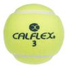 SAKURAI CALFLEX Tennis Hard Ball Non-Pressure 2 Balls LB-450 Yellow