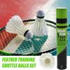 Badminton – Skyttlar