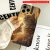 2DFlat Golden Sunset Cat In Ruffled Dress All Inclusive Film Hard iPhone Case, Compatible with iPhone 18 Pro Max 17 16 15 14 13 12 11