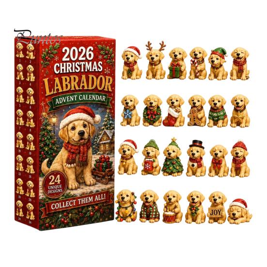 Regalo di Natale per Proprietari di Animali Domestici Calendario dell'Avvento a Tema 2026, Conto alla Rovescia di 24 Giorni con Set Unico Pz Mini Ornamenti 3D Gatto Cane, Regali per le Feste Casa