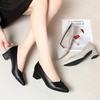 Spring and Autumn Soft-Soled Comfortable Solid Color Versatile Mid-Heel Women's Leather Shoes Chunky Heel Work Shoes Professional Single Shoes