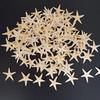 Velikost mořských mušlí:0,5-3cm 100ks Mini Starfish řemeslná dekorace Přírodní mořské hvězdy