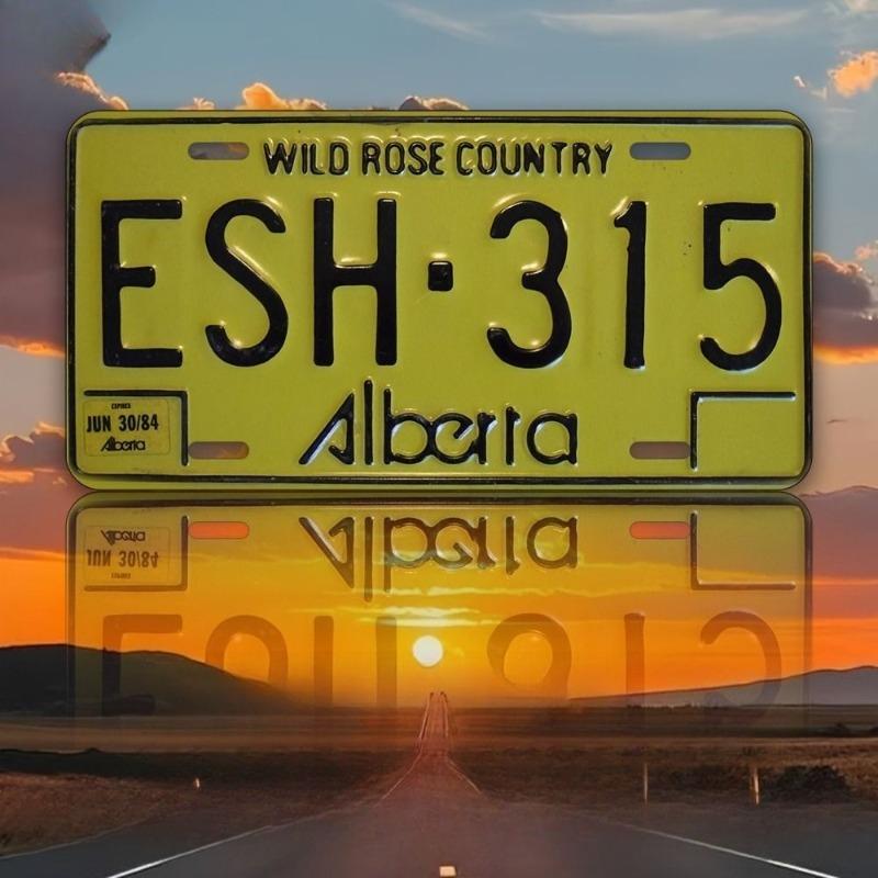 Arkansas USA Metal Wall Sign, Vintage State Decor 15x30cm