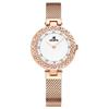 Top Brand Fashion Diamond Mesh Belt Women's Watch Light Luxury Quartz Wristwatch Waterproof Starry Sky Flow Diamond Exquisite Women's Watch