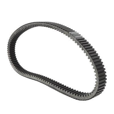Motor – Correas de transmisión y correas dentadas