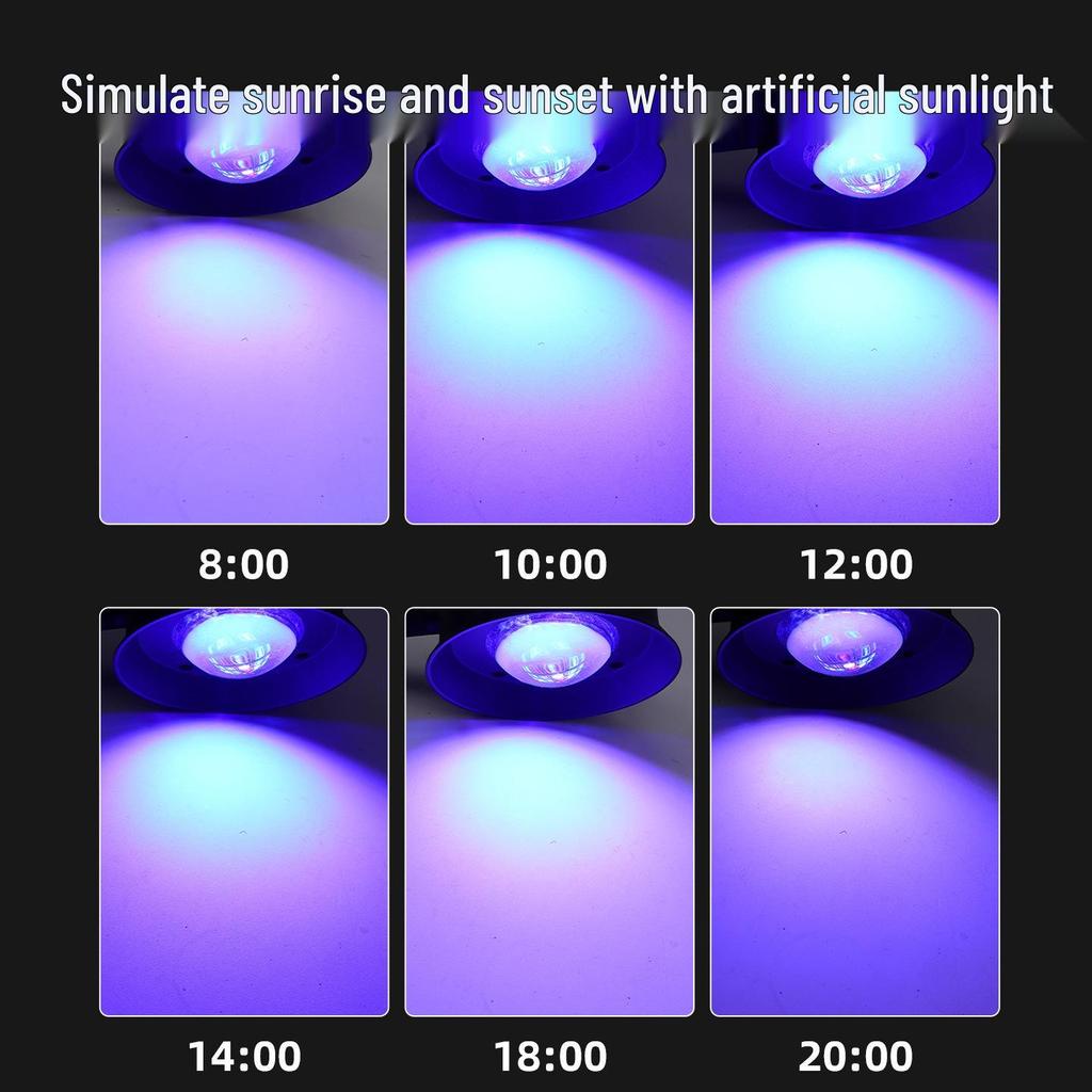Deep Sea Spectrum Coral Lamp with UV for Fluorescent Proteins and High-Brightness Lens