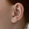 (925 Silver) Meringue Freshwater Pearl Stud Earrings Ec3240 Size 4