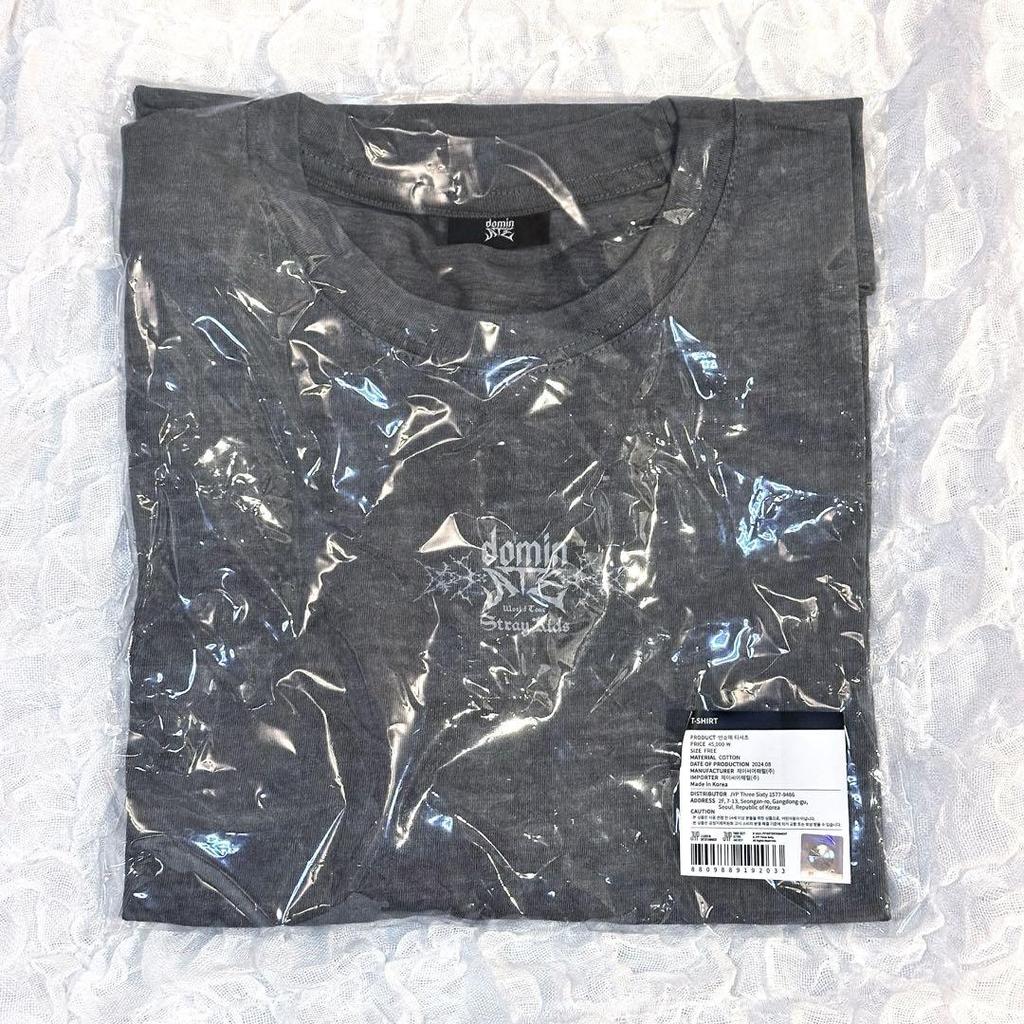 [USED] Stray Kids Waltz Dominate Seoul T-Shirt Gray