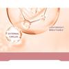BEAUTY GLAZED - 6 Colours Phantom Concealer Palette