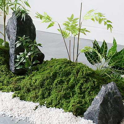 Breathable Artificial Moss Fake Moss Plastic Moss Aesthetic Appeal