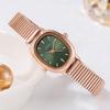 Creative Small Cocoa Oval Small Plate Women'S Student Japanese Minimalist Alloy Waterproof Quartz Watch