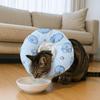 Anti-Biss Katze Elizabeth Kragen Verstellbarer Katzenhalskragen Niedlicher Katzen Genesungskragen Wundversorgung