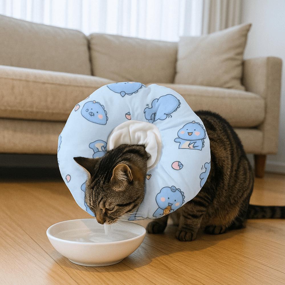 Anti-Biss Katze Elizabeth Kragen Verstellbarer Katzenhalskragen Niedlicher Katzen Genesungskragen Wundversorgung