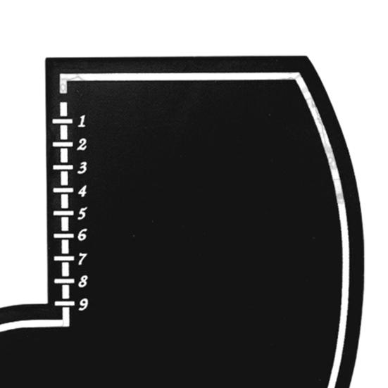 Men Hair Styling Template Color Enhancement Barber Card with Measurement