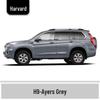 Haval H6 Cool Dog Touch-Up Pen, Black Spot & Ruixue White Scratch Repair Paint