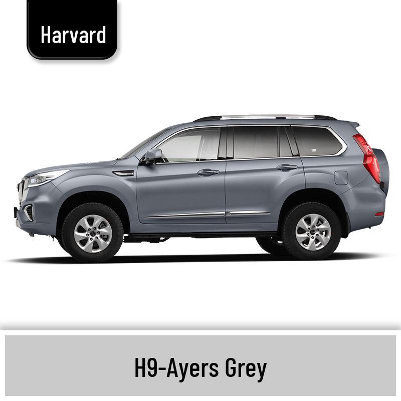 Haval H6 Cool Dog Touch-Up Pen, Black Spot & Ruixue White Scratch Repair Paint