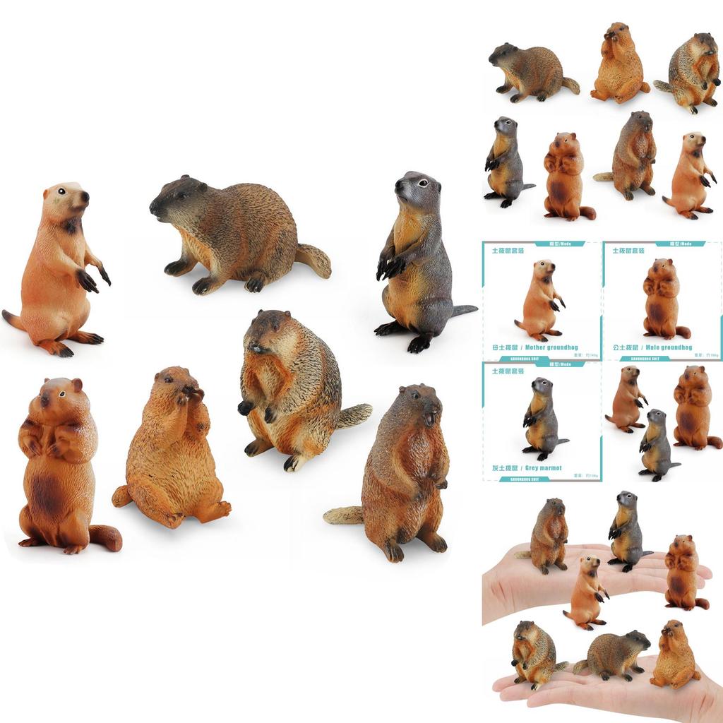 Entzückende PVC-Eichhörnchen-Modellsammlung mit lebensechten Details für Kinder