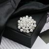 Elegant Versatile Light Luxury Corsage Brooch with Niche Design - Anti-Exposure Pin