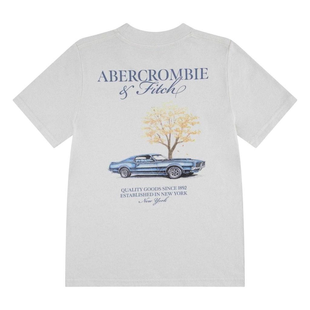Abercrombie & Fitch Childrens/Kids Back Print T-Shirt