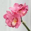 Artificial Cymbidium Orchid Moisturizing Realistic Decor Long Stem for Home Wedding Her Wife
