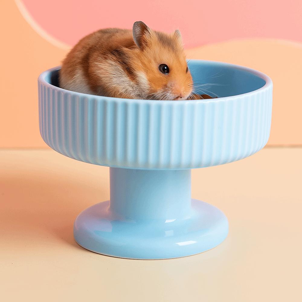 Cute Pet High Footed Cup Bowl Dopamine Color Pet Drinking Feeder Dog Food Feeding Basin Puppy