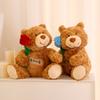 Aurora Happy Birthday Teddy Bear Plush Toys Sweet Smile Stuffed Soft Wedding Gift Baby Toy Valentine Lover Gift Cute Animal Doll