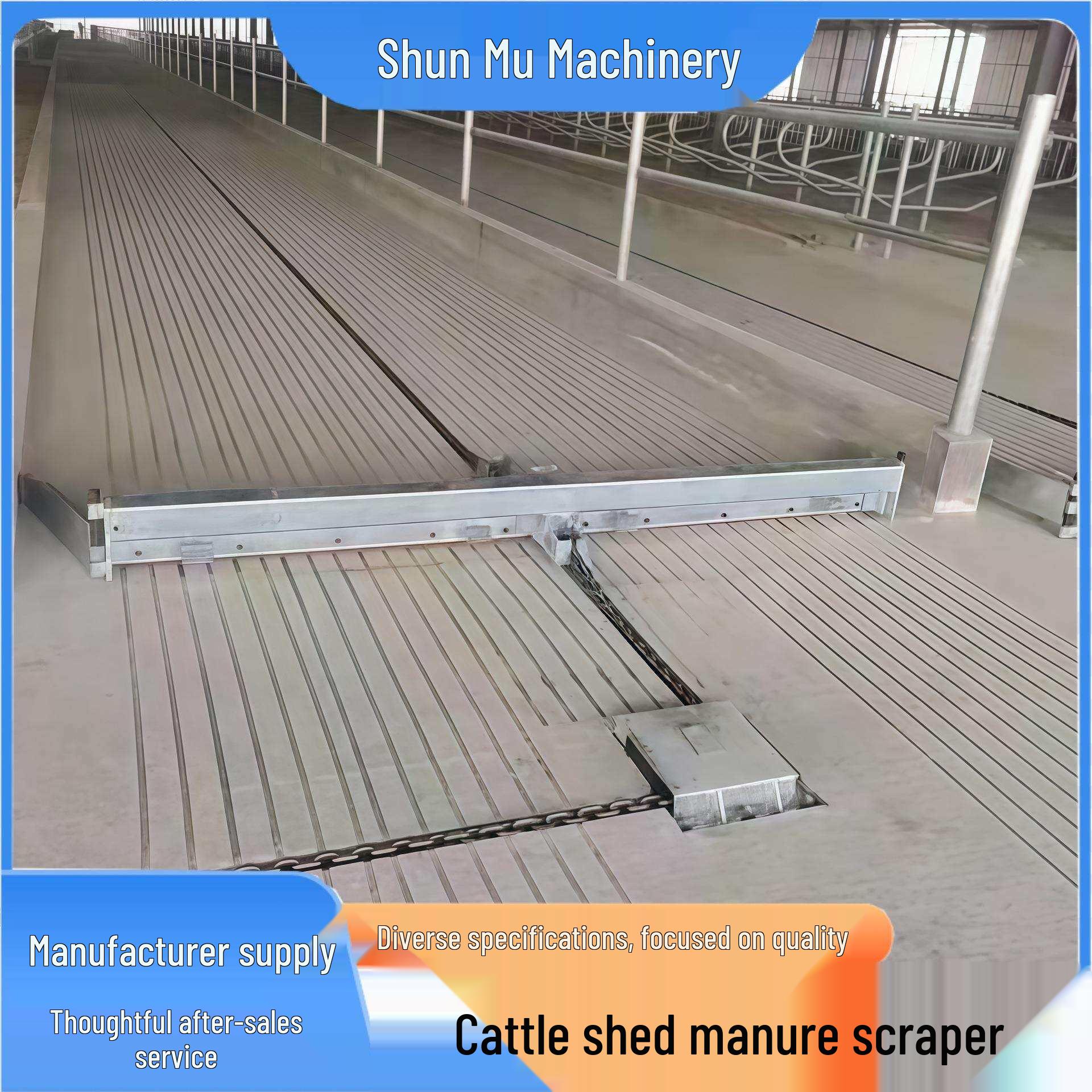

Modern Automatic Livestock Manure Scraper System