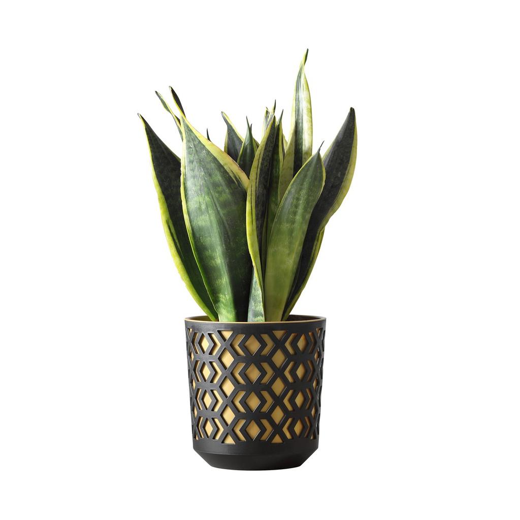 Donica Etnic Czarno-Złota 25Xh27 Cm