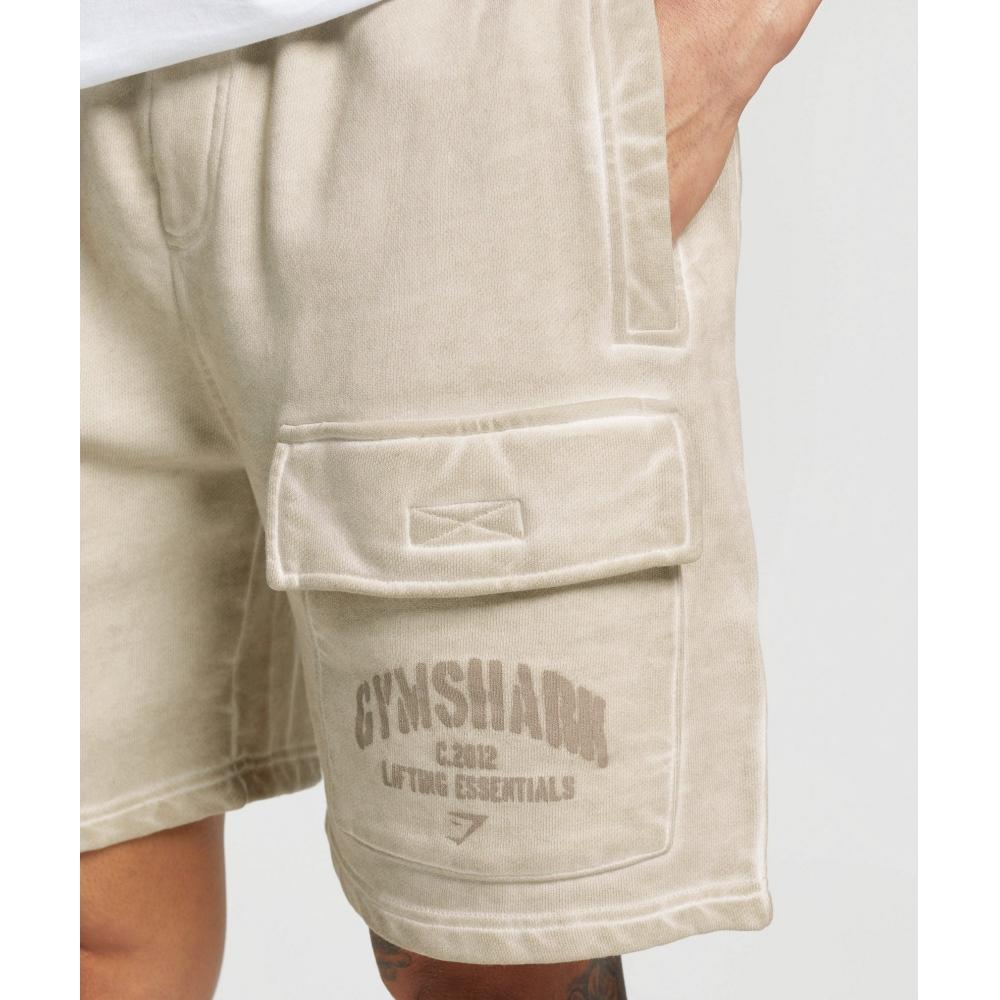 Gymshark Heavyweight Washed Cargo Shorts Pebble Grey A5a6e Gclb.