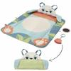 Hrací podložka Fisher Price Plast