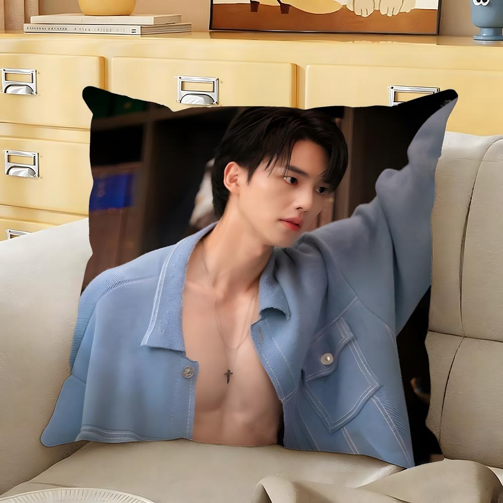 

Korean actor SSong KKang Cushion Cover Soft Durable Reversible Pillow Cover Home Car MultiScene Daily Comfort Pillowcase 30X30cm