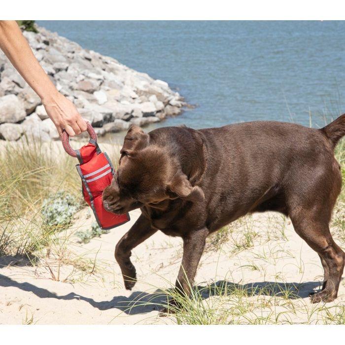 Jouet fitness pour chien - Oxford - Sonore - Polyester - Vert - 32x9x4cm