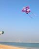High-Grade Cartoon Butterfly Kite - Easy to Fly in Light Breeze for Kids & Adults