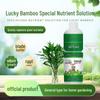 Hydroponic Lucky Bamboo Nutrient Solution for Anti-Yellowing Leaves & Enhanced Rooting
