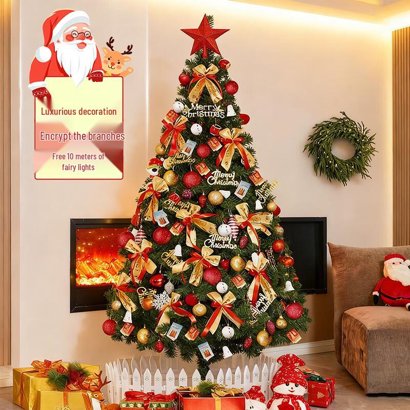 Christmas Holiday Decorations Collection