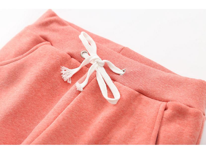 Pantaloni Casual Caldi da Donna in Lana d'Agnello con Plus Velluto - Dimagranti, con Polsini, Gamba Dritta, Tuta per Autunno e Inverno