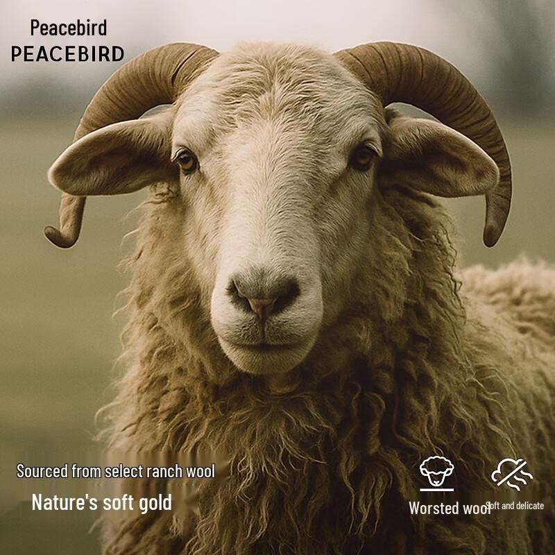 Peacebird Men's Half-High Neck Pullover Sweater