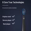 Seago SG-575 Sonic Electric Toothbrush CN plug (adapter included)