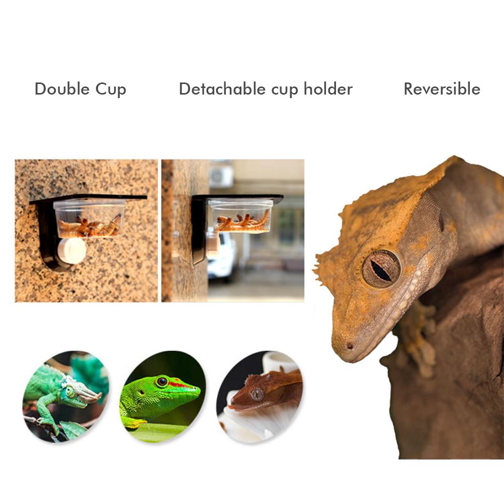 Reptile Food Bowl Insect Breeding Container Wall Hanging Water Dispenser for Spiders Lizards