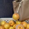 Funny  Bag Accessories Trend Fruits Pendant Necklace For Women Girls Y2K Cute Party Necklace Aesthetic Jewelry