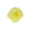 P-1  21 Preserved Roses in a Box Wedding Decor Floral Arrangements Wedding Dried Flower Home Decor Baby Shower Flowers 2~3cm