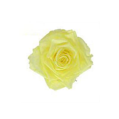 P-1 21 Preserved Roses in a Box Wedding Decor Floral Arrangements Wedding Dried Flower Home Decor Baby Shower Flowers 2~3cm