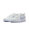 Nike Court Skateboard Shoes Blue White Unisex DH5246-109