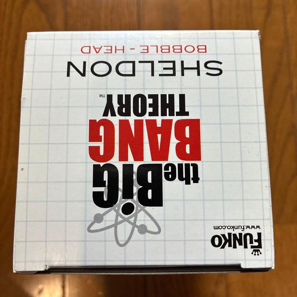 [USED] Wacky Wobbler Bobbing Head BIGBANG THEORY Sheldon