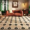 French Retro Living Room Decoration Carpets Thicken Bedside Rugs for Bedroom Large Area Home Non-slip Mat Washable Lounge Rug