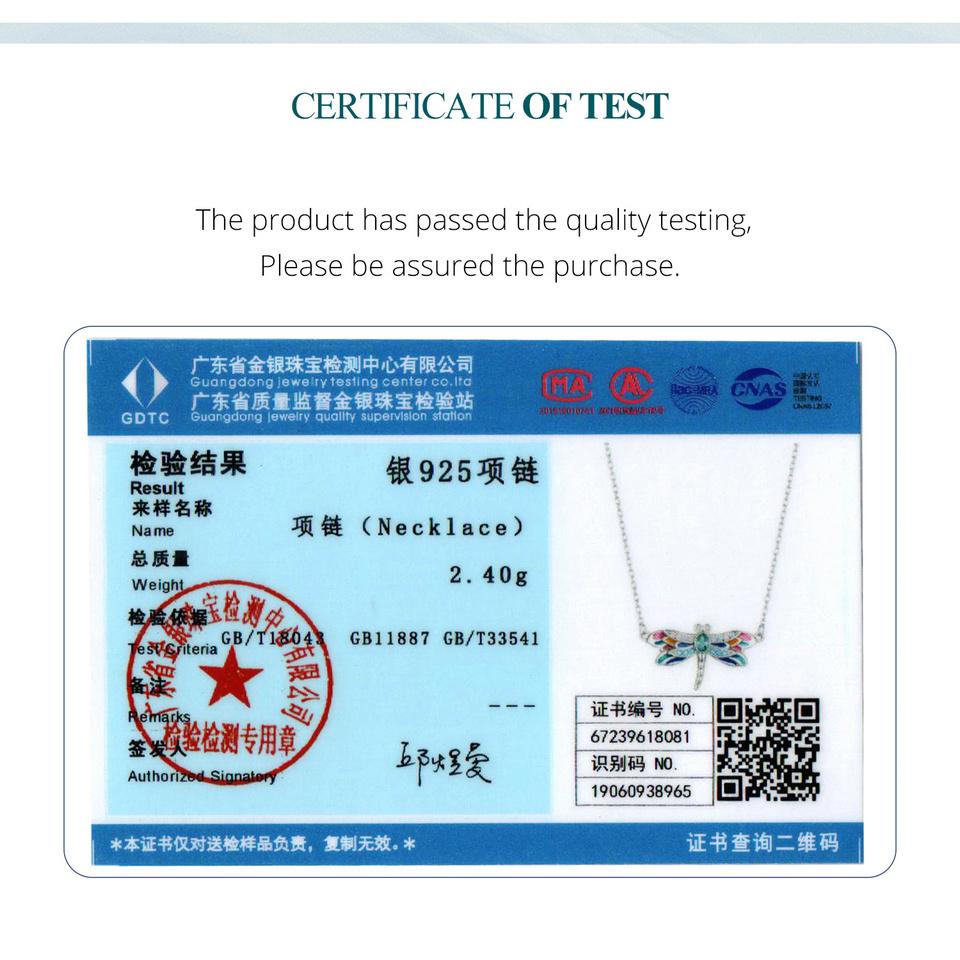 BAMOER Colier cu pandantiv cu libelule smalț colorat din argint 925, lanț delicat pentru gât de insecte pentru femei, cadou de Ziua Îndrăgostiților