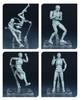 CHALAN Drawing Articulated Figure with Stand by Professional Manga Full Body Human Anatomy Drawing Base Muscular Drawing Character Sketch Female Skin