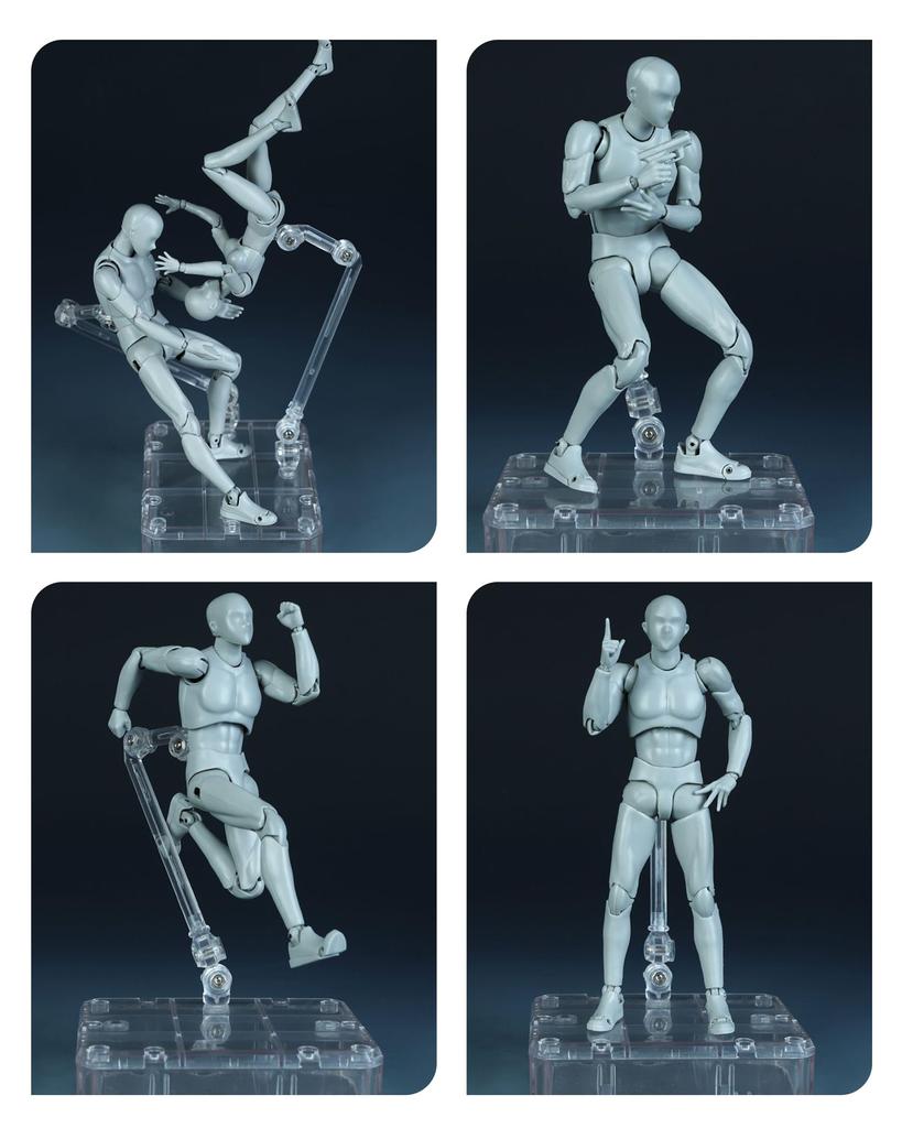 CHALAN Drawing Articulated Figure with Stand by Professional Manga Full Body Human Anatomy Drawing Base Muscular Drawing Character Sketch Female Skin
