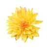 50Pcs Eye-catching Artificial Flower DIY Durable Delicately Cut Simulation Head